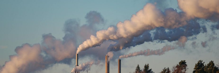 empresas sustentáveis