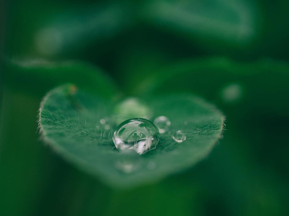 compartilhando a natureza